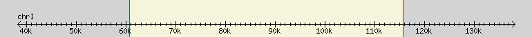 __scale__ region