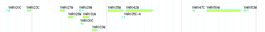 Genes detail