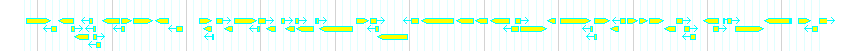 Genes detail