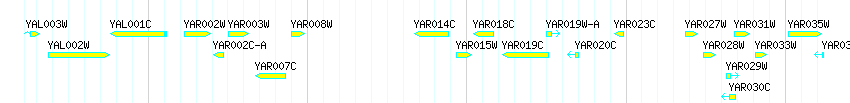 Genes detail