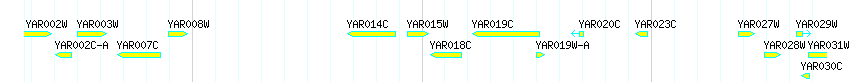 Genes detail