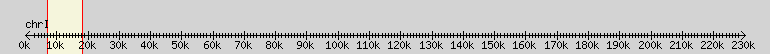 __scale__ overview