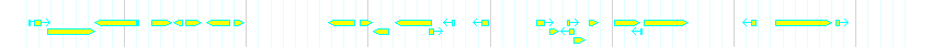 Genes detail