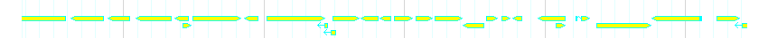 Genes detail