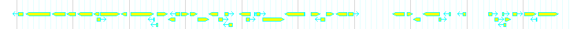 Genes detail