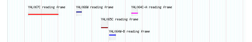 CDS detail
