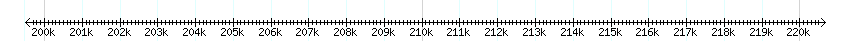 __scale__ detail