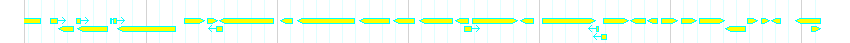 Genes detail