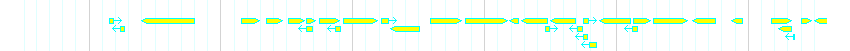 Genes detail