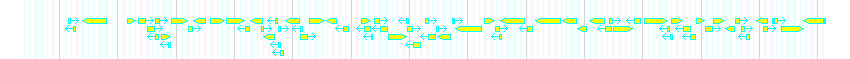 Genes detail