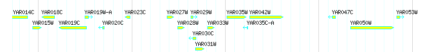 Genes detail