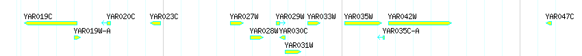 Genes detail