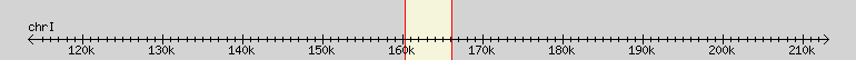 __scale__ region