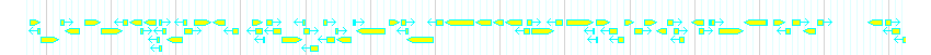 Genes detail