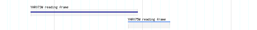 CDS detail