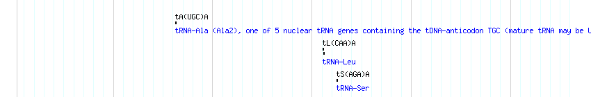 tRNAs detail