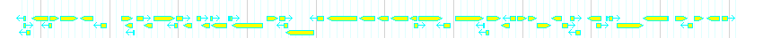 Genes detail