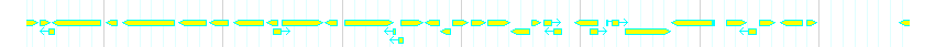 Genes detail