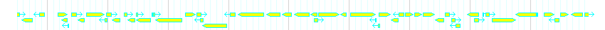 Genes detail