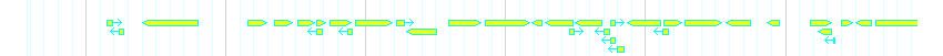 Genes detail