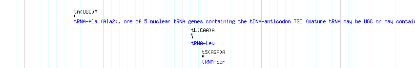 tRNAs detail