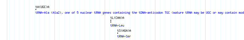 tRNAs detail