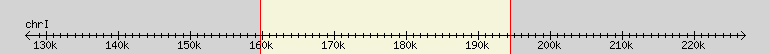 __scale__ region
