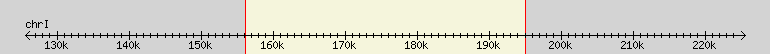 __scale__ region