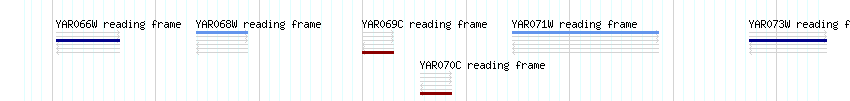 CDS detail
