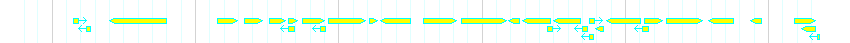 Genes detail