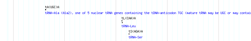 tRNAs detail