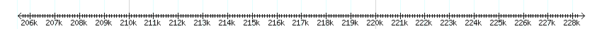 __scale__ detail