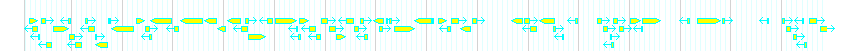 Genes detail