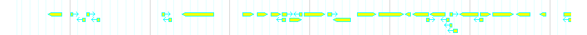 Genes detail