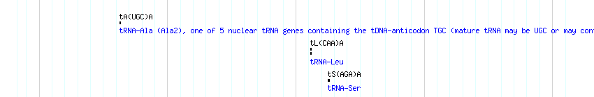 tRNAs detail