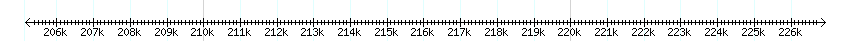 __scale__ detail