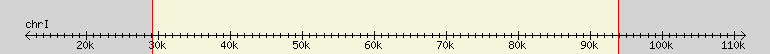 __scale__ region