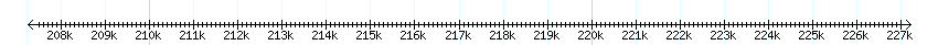 __scale__ detail