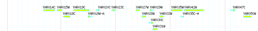 Genes detail