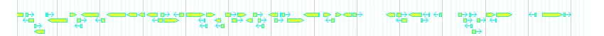 Genes detail