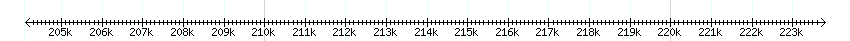 __scale__ detail