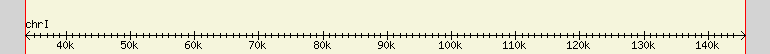 __scale__ region