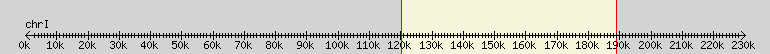 __scale__ overview