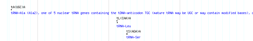 tRNAs detail