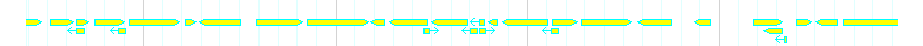 Genes detail