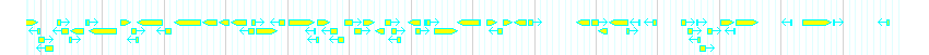 Genes detail