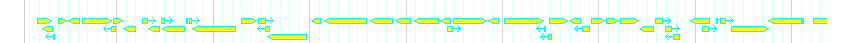 Genes detail