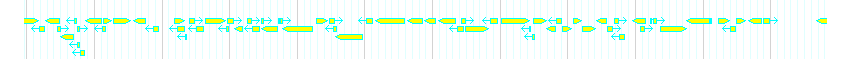 Genes detail