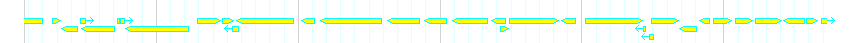Genes detail