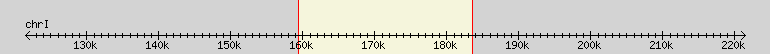 __scale__ region